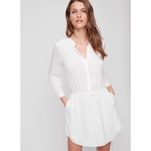 Aritzia Babaton Bennett 100% Silk Dress